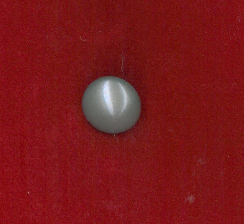 MOTHER OF PEARL BUTTON - SIZE 8 - NICKEL